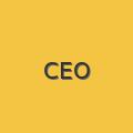 张伟 - CEO